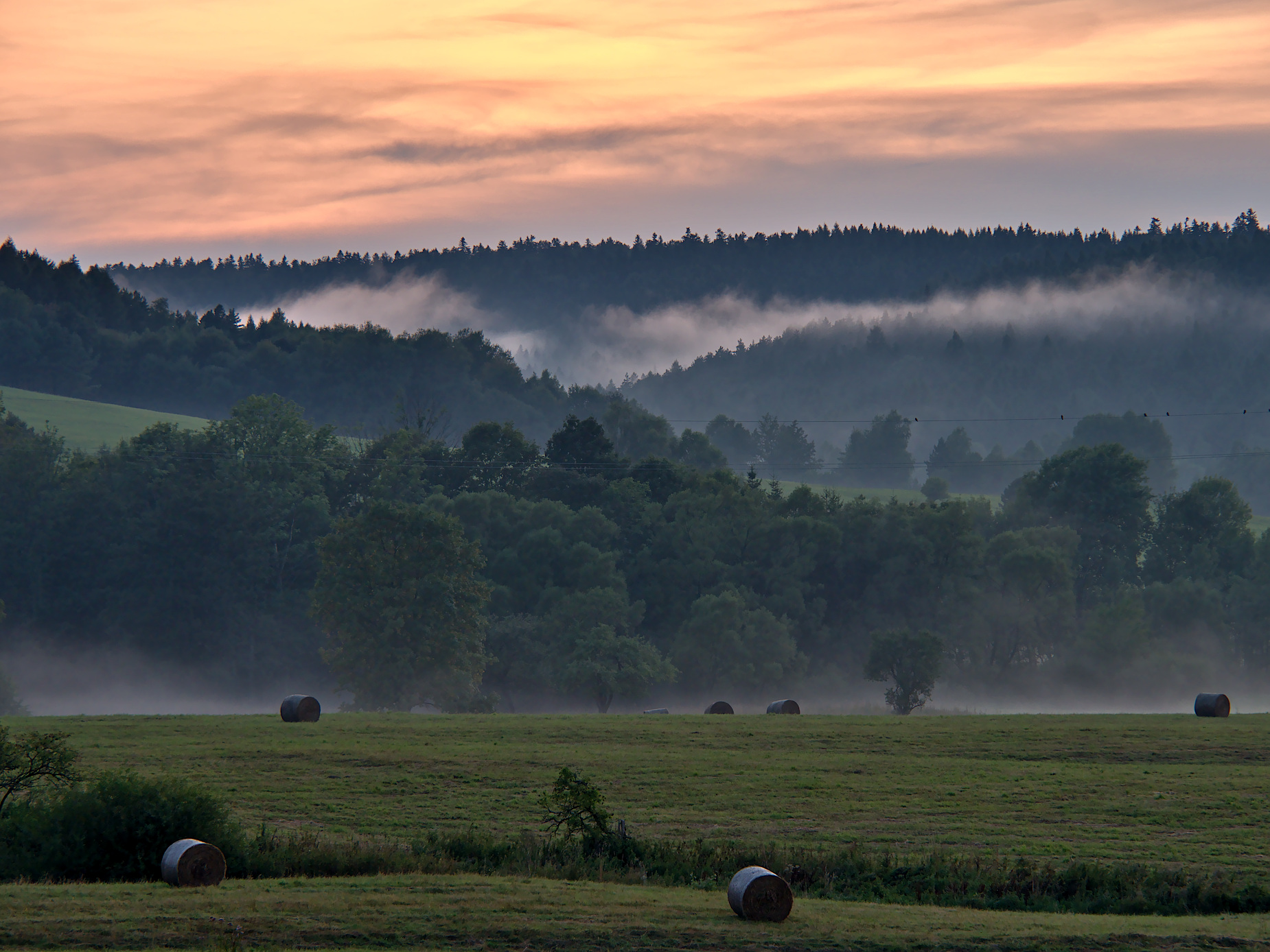 Nazwa:  P1013174.jpg
Wyświetleń: 264
Rozmiar:  744,8 KB