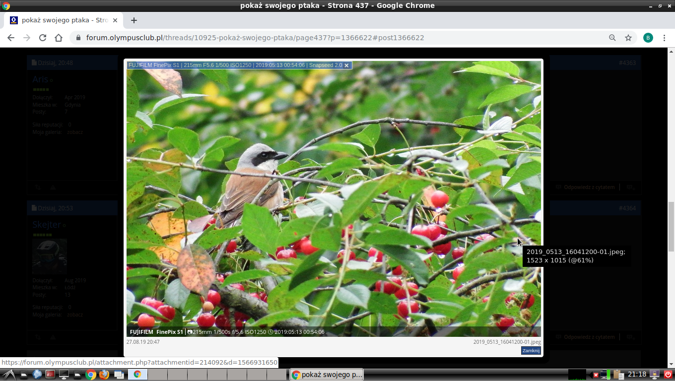 Nazwa:  Zrzut ekranu z 2019-08-27 21-18-07.png
Wyświetleń: 142
Rozmiar:  964,8 KB