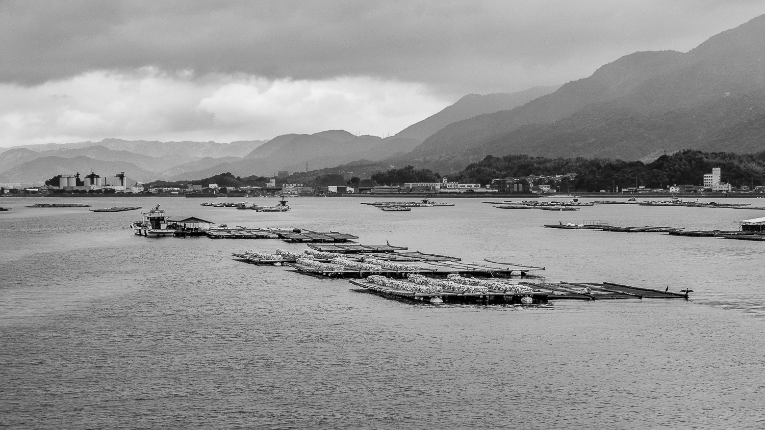 Kliknij obrazek, aby uzyskać większą wersję

Nazwa:	P6280759.jpg
Wyświetleń:	353
Rozmiar:	852,6 KB
ID:	214147