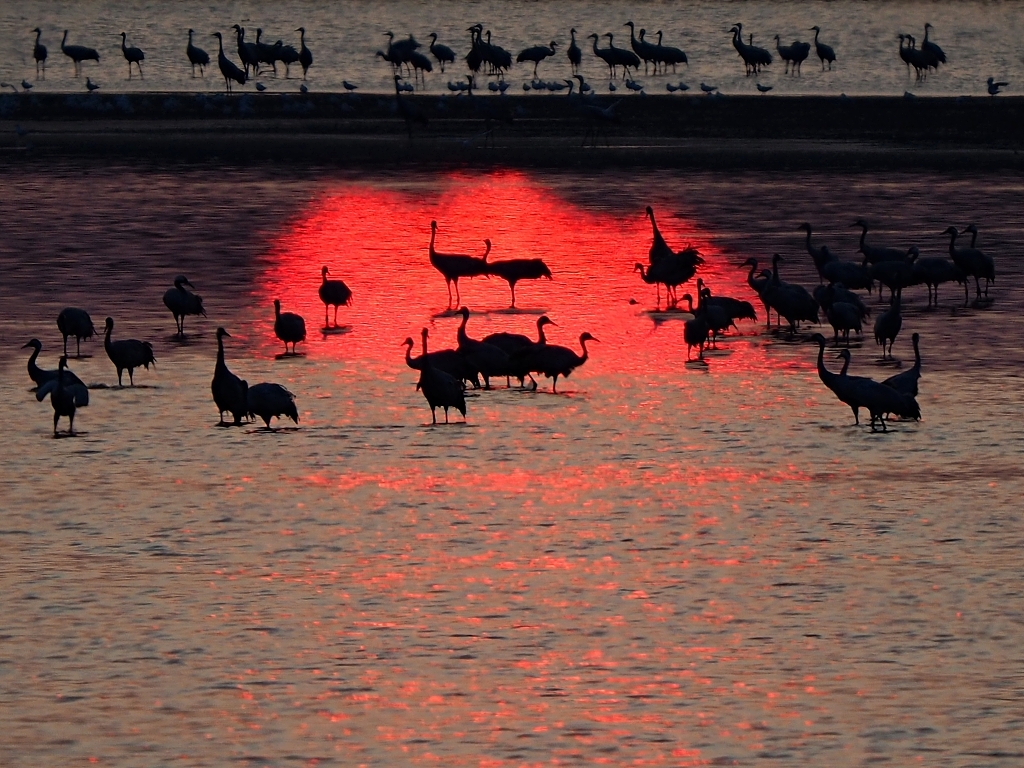 Nazwa:  P8306173a.jpg
Wyświetleń: 164
Rozmiar:  640,2 KB