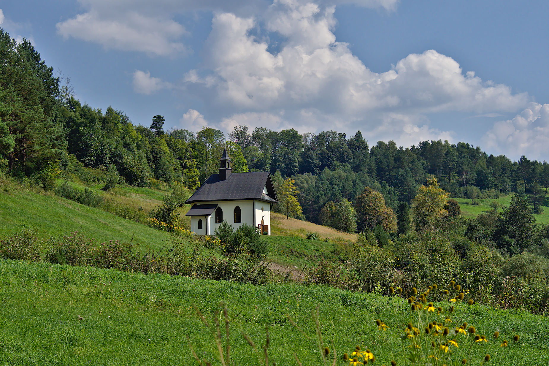 Nazwa:  P9010738.jpg
Wyświetleń: 204
Rozmiar:  774,0 KB