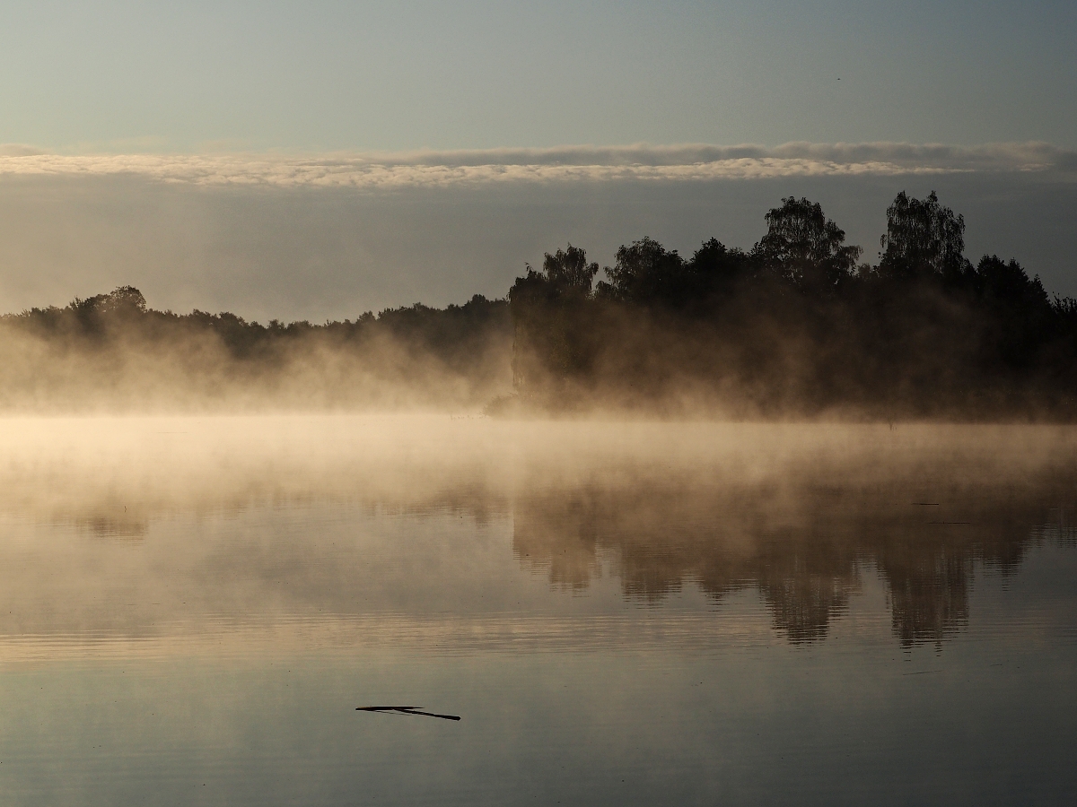 Nazwa:  P9030087a.jpg
Wyświetleń: 103
Rozmiar:  622,6 KB