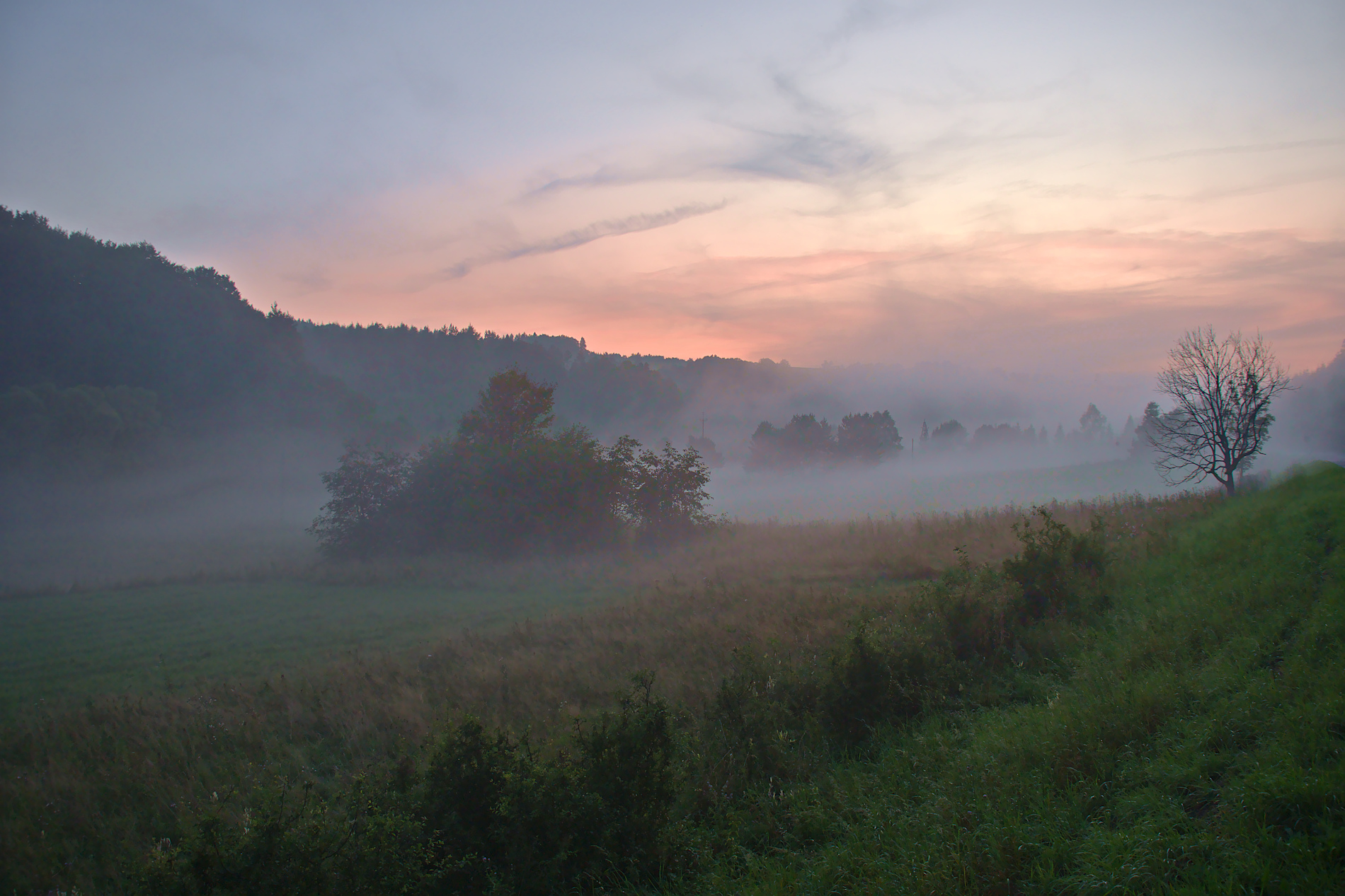Nazwa:  P1013167.jpg
Wyświetleń: 212
Rozmiar:  896,4 KB