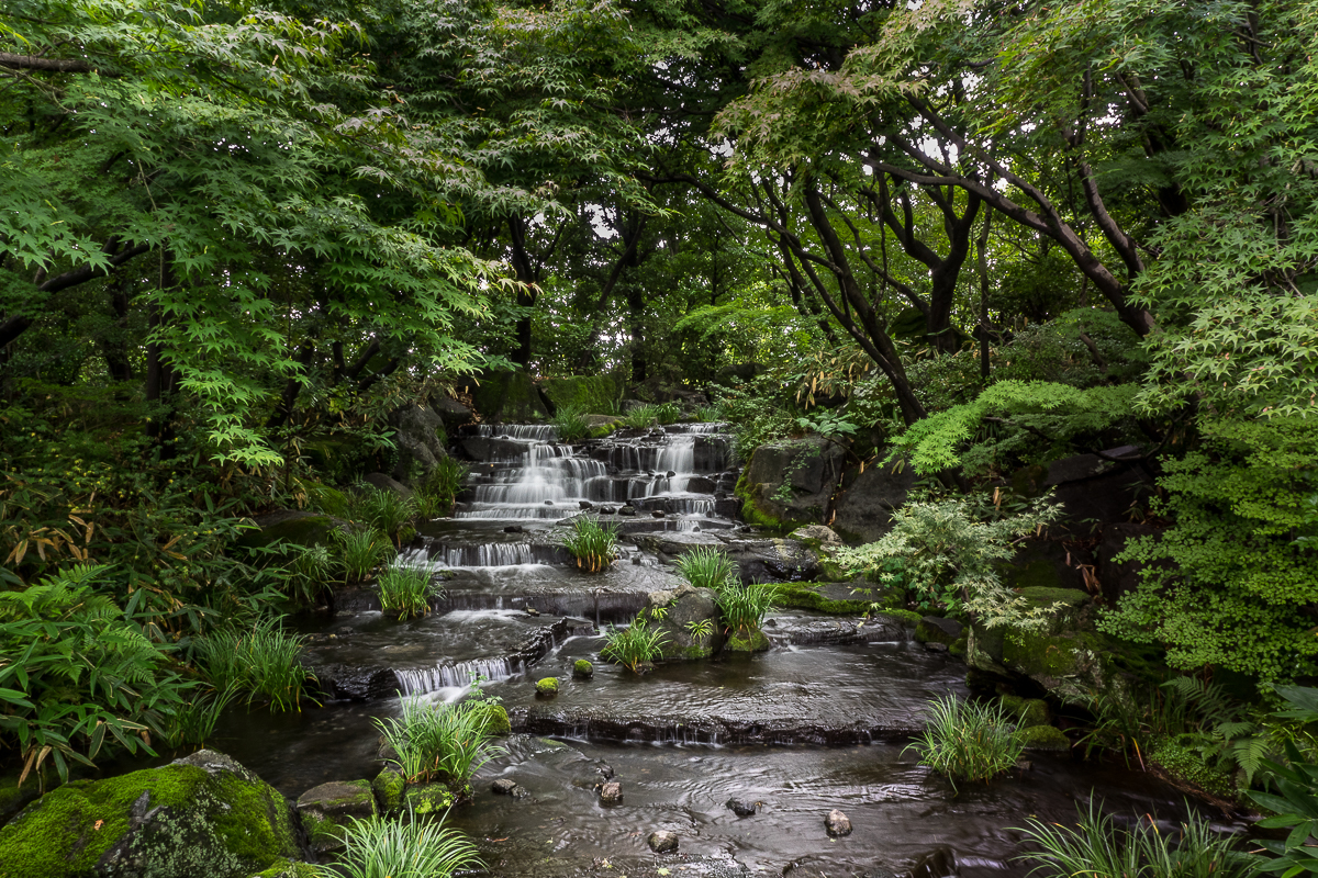 Kliknij obrazek, aby uzyskać większą wersję

Nazwa:	P6300067.jpg
Wyświetleń:	256
Rozmiar:	1,34 MB
ID:	214530