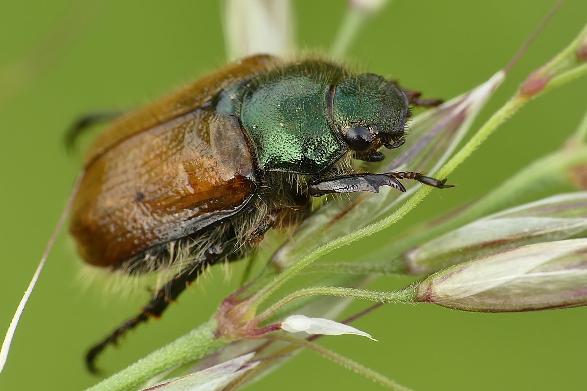 Nazwa:  ogrodnica88867cf.jpg
Wyświetleń: 200
Rozmiar:  136,0 KB