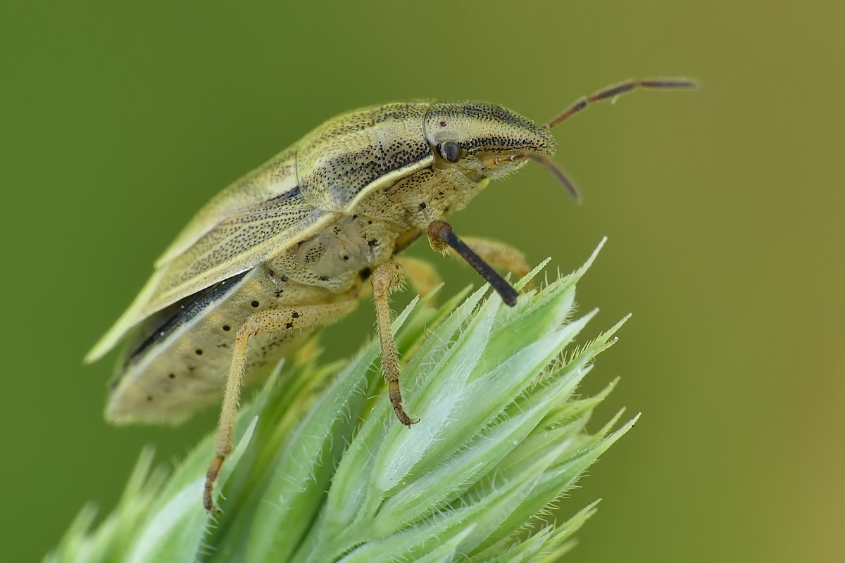 Nazwa:  lednica79534cf.jpg
Wyświetleń: 148
Rozmiar:  136,2 KB