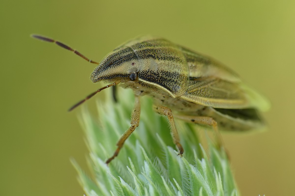 Nazwa:  lednica79584cf.jpg
Wyświetleń: 148
Rozmiar:  107,3 KB