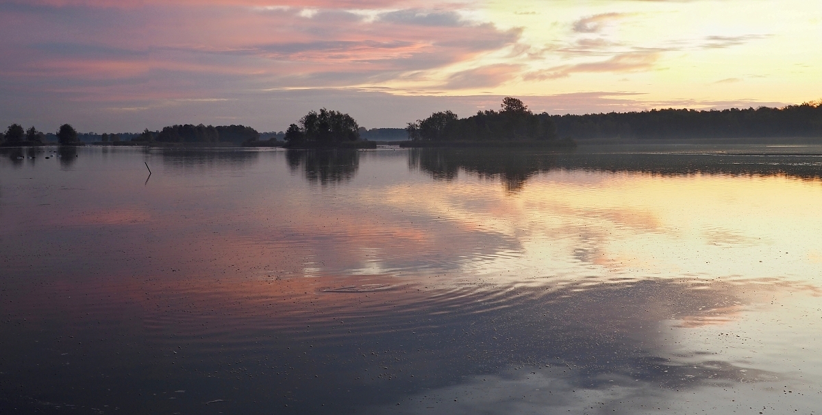 Nazwa:  PA150255B.jpg
Wyświetleń: 254
Rozmiar:  492,4 KB