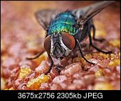 Kliknij obrazek, aby uzyskać większą wersję

Nazwa:	P6180513-01.jpeg
Wyświetleń:	94
Rozmiar:	2,25 MB
ID:	215624