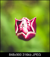 Kliknij obrazek, aby uzyskać większą wersję

Nazwa:	_DSC2732.jpg
Wyświetleń:	57
Rozmiar:	315,9 KB
ID:	215654