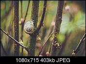 Kliknij obrazek, aby uzyskać większą wersję

Nazwa:	_DSC2737.jpg
Wyświetleń:	58
Rozmiar:	403,3 KB
ID:	215657