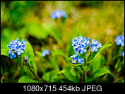 Kliknij obrazek, aby uzyskać większą wersję

Nazwa:	_DSC2680.jpg
Wyświetleń:	62
Rozmiar:	454,2 KB
ID:	215658