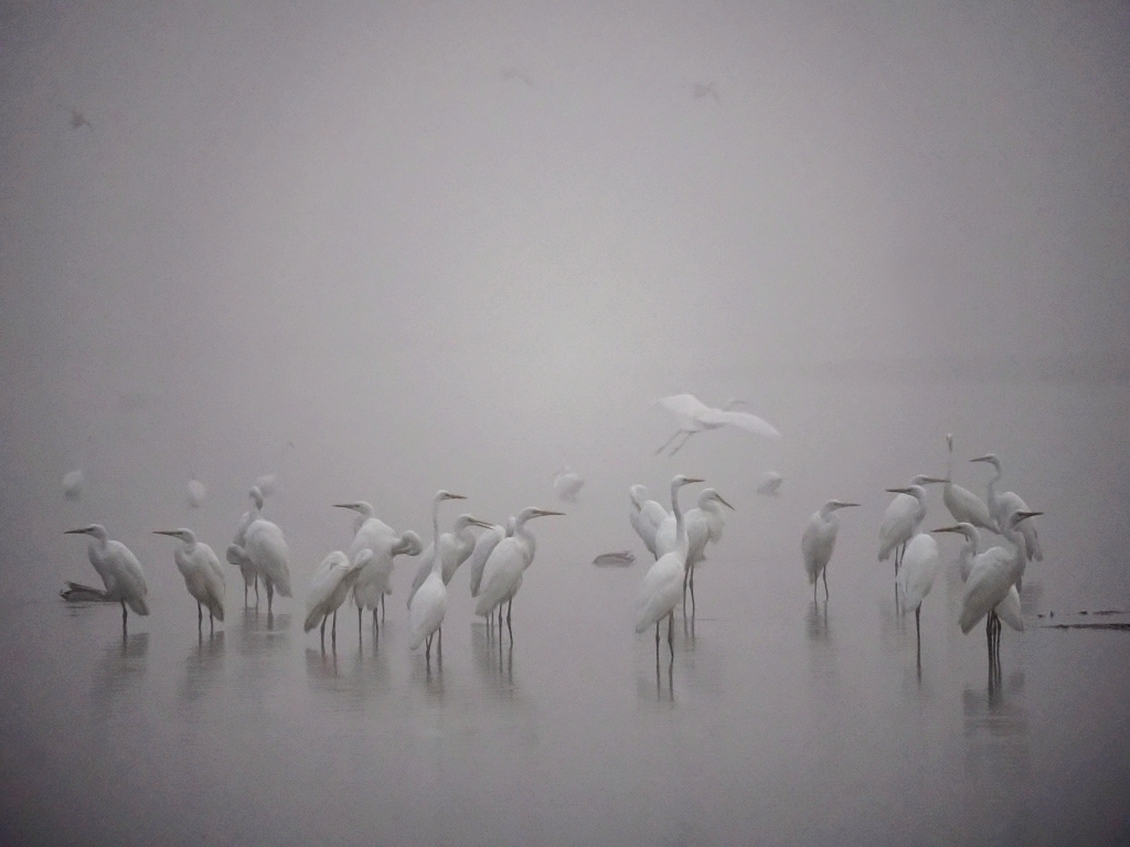 Nazwa:  PA221318c.jpg
Wyświetleń: 169
Rozmiar:  439,5 KB