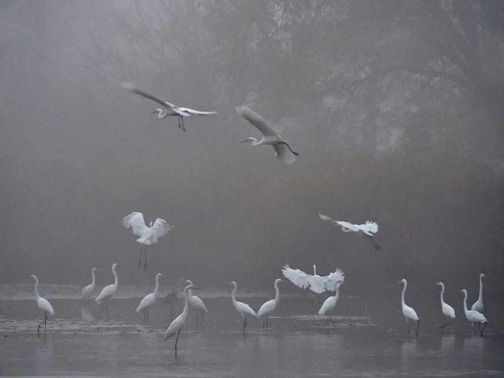 Nazwa:  PA221309b.jpg
Wyświetleń: 169
Rozmiar:  518,8 KB