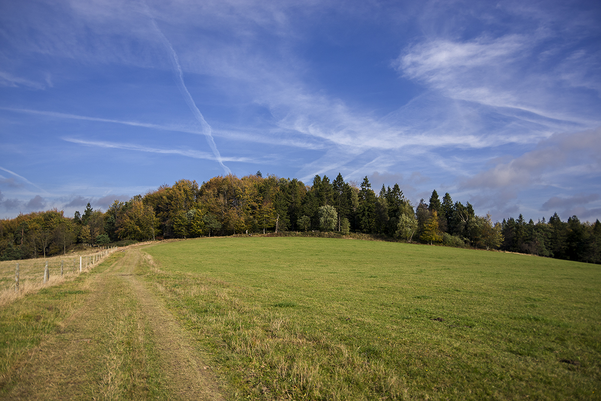 Nazwa:  p2679a.jpg
Wyświetleń: 155
Rozmiar:  932,1 KB