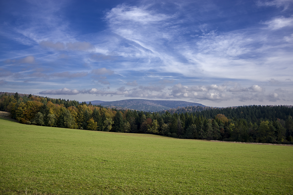 Nazwa:  p2686a.jpg
Wyświetleń: 137
Rozmiar:  888,1 KB