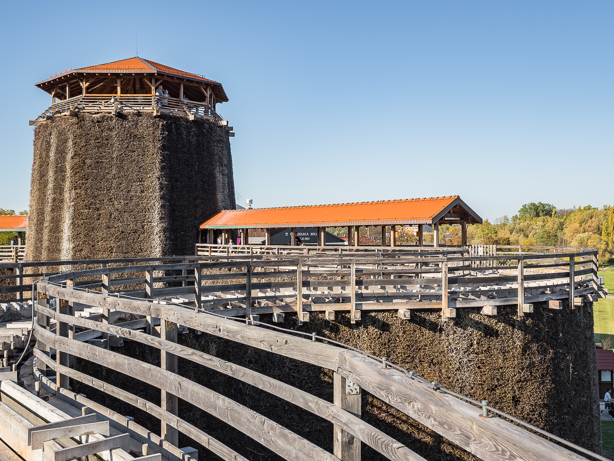 Nazwa:  PA270181.JPG
Wyświetleń: 469
Rozmiar:  1,12 MB