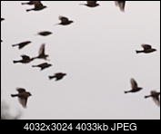 Kliknij obrazek, aby uzyskać większą wersję

Nazwa:	PA296688.JPG
Wyświetleń:	105
Rozmiar:	3,94 MB
ID:	216058