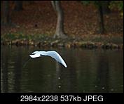 Kliknij obrazek, aby uzyskać większą wersję

Nazwa:	smie.jpg
Wyświetleń:	144
Rozmiar:	537,4 KB
ID:	216059