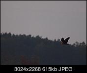 Kliknij obrazek, aby uzyskać większą wersję

Nazwa:	dfd.jpg
Wyświetleń:	113
Rozmiar:	614,8 KB
ID:	216062