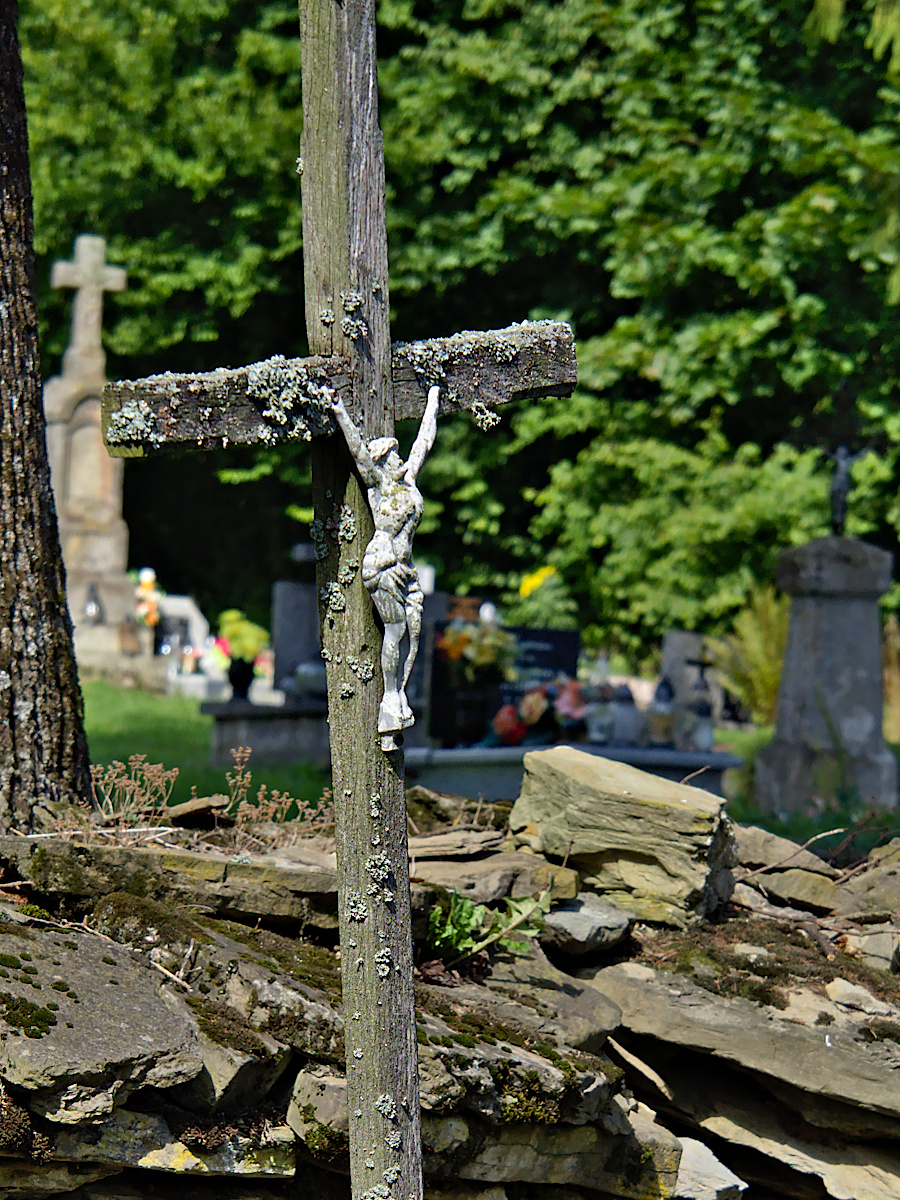 Nazwa:  P8180602.jpg
Wyświetleń: 493
Rozmiar:  748,0 KB