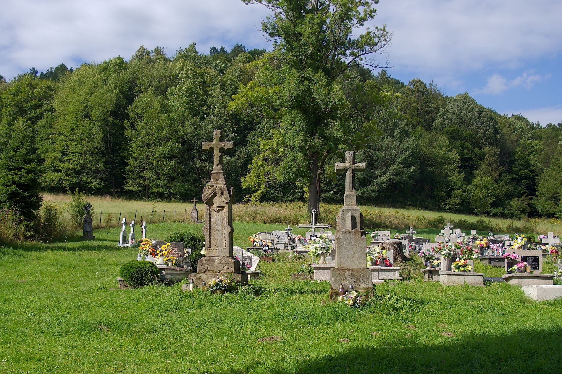 Nazwa:  P8180608.jpg
Wyświetleń: 552
Rozmiar:  802,2 KB