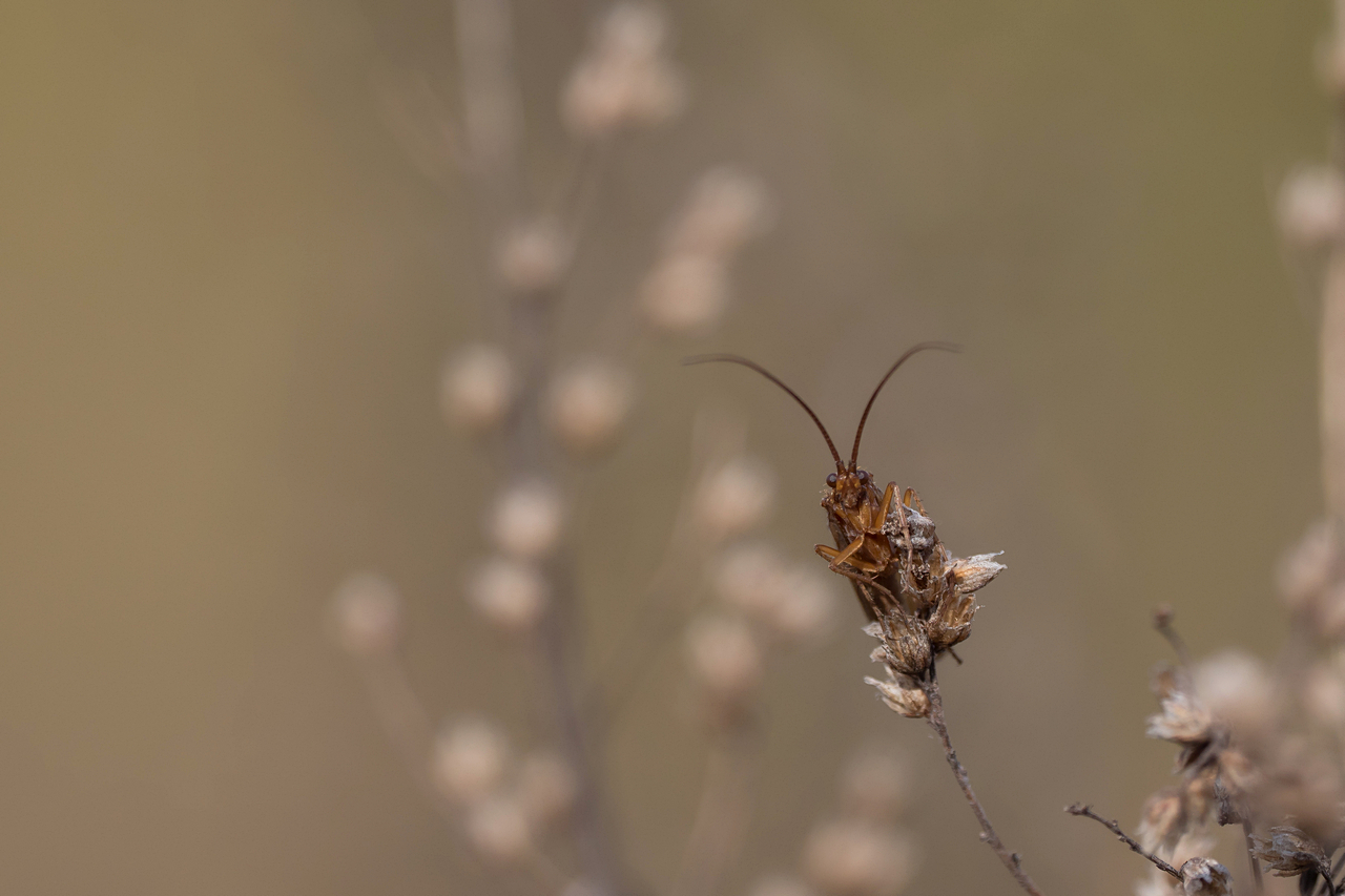 Nazwa:  P1050921.JPG
Wyświetleń: 212
Rozmiar:  676,8 KB