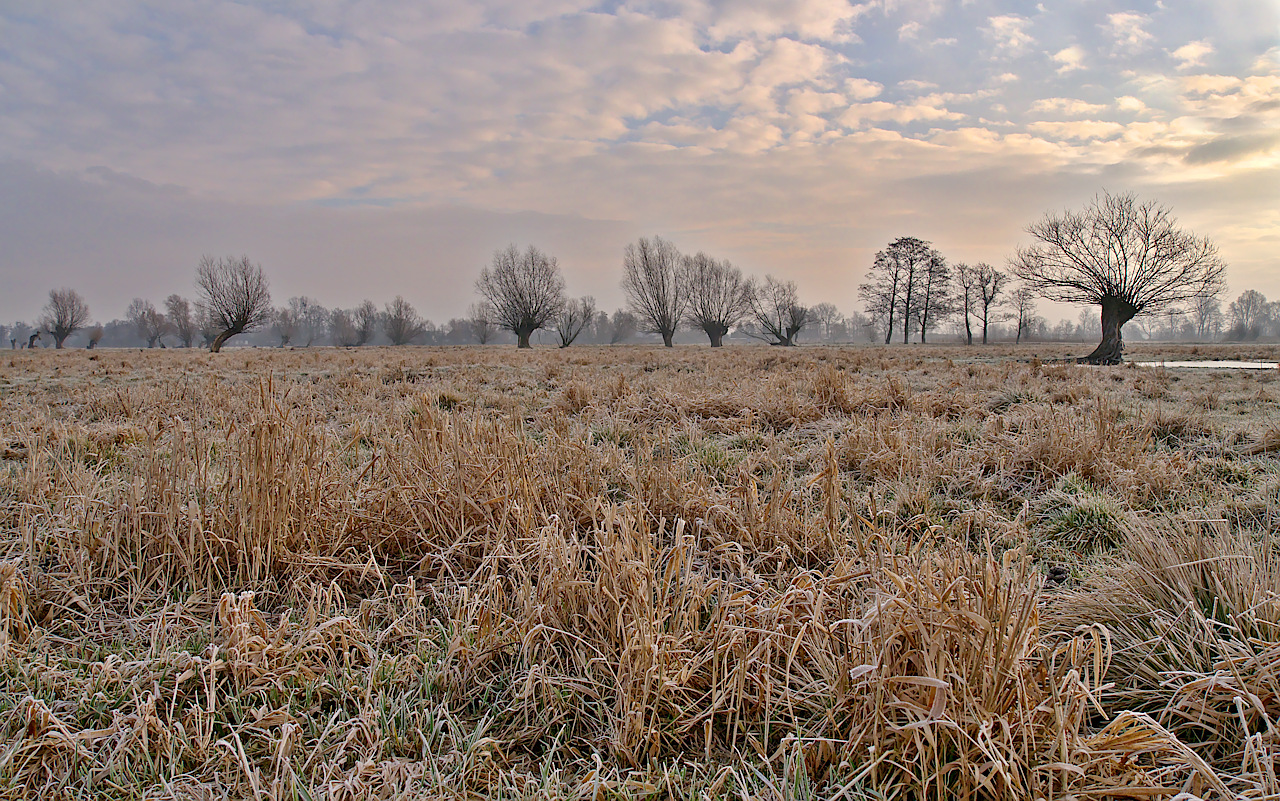 Nazwa:  01.jpg
Wyświetleń: 583
Rozmiar:  735,9 KB