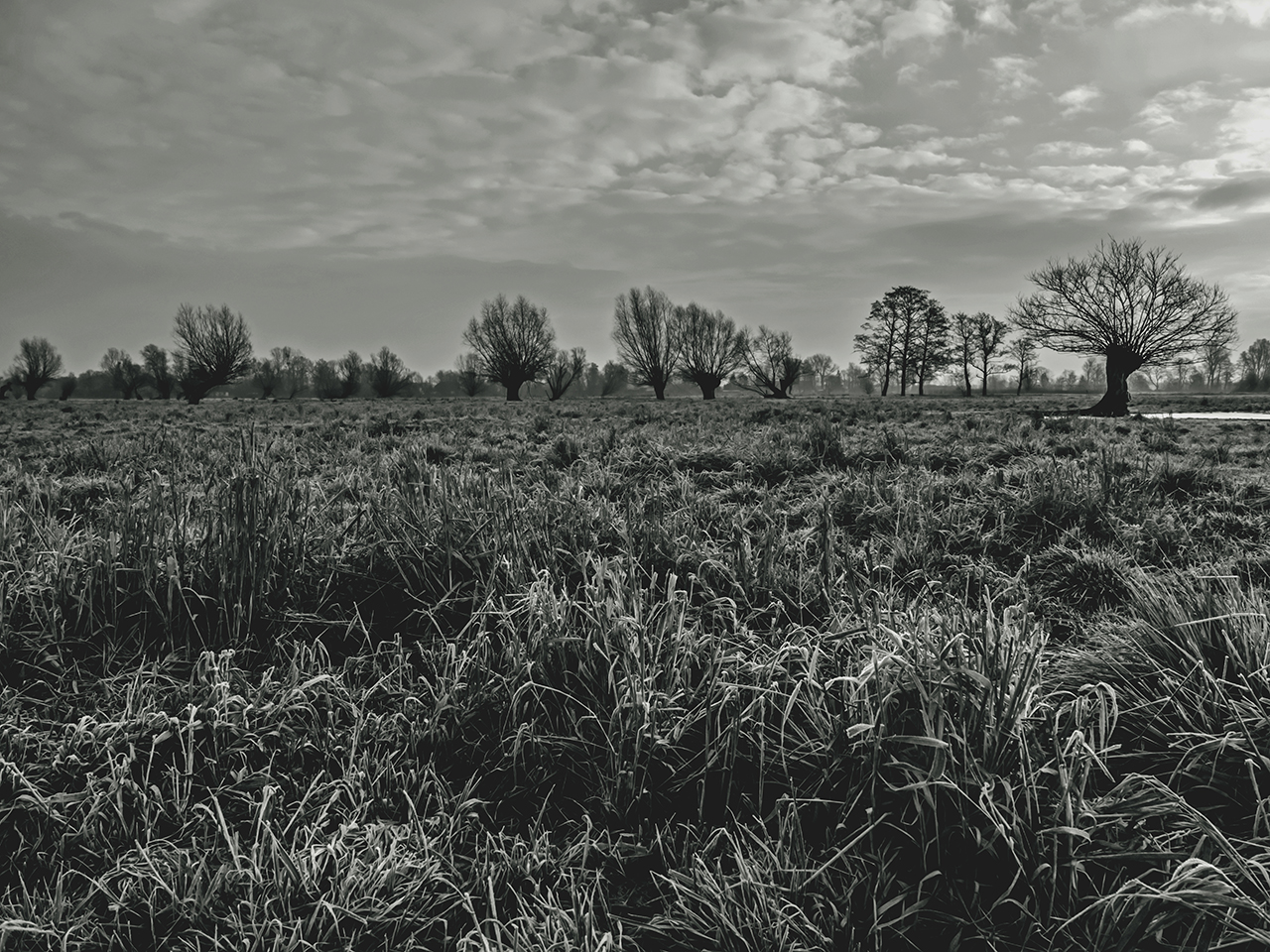 Nazwa:  07.jpg
Wyświetleń: 426
Rozmiar:  1,01 MB