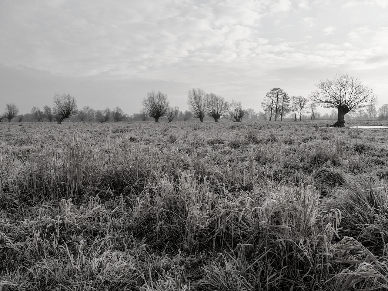 Nazwa:  08.jpg
Wyświetleń: 551
Rozmiar:  1.015,3 KB