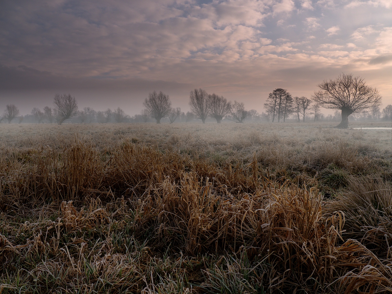 Nazwa:  12.jpg
Wyświetleń: 481
Rozmiar:  759,0 KB