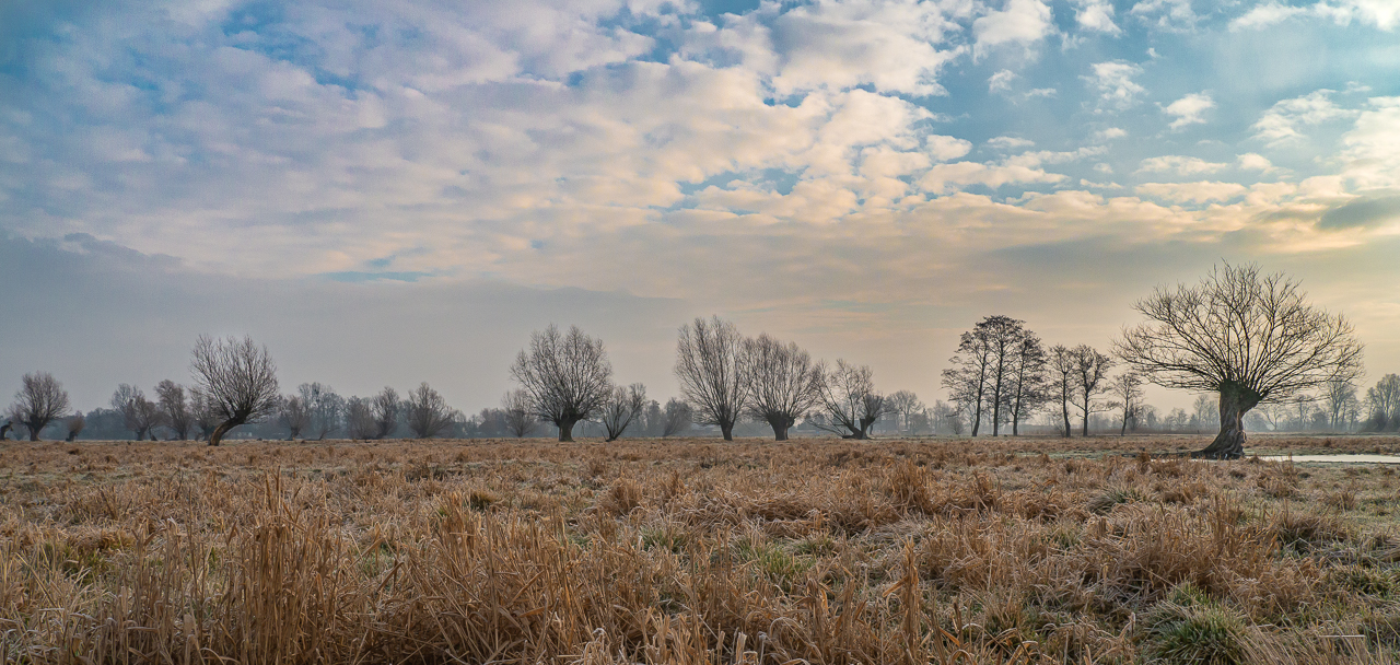 Nazwa:  13.jpg
Wyświetleń: 442
Rozmiar:  805,6 KB