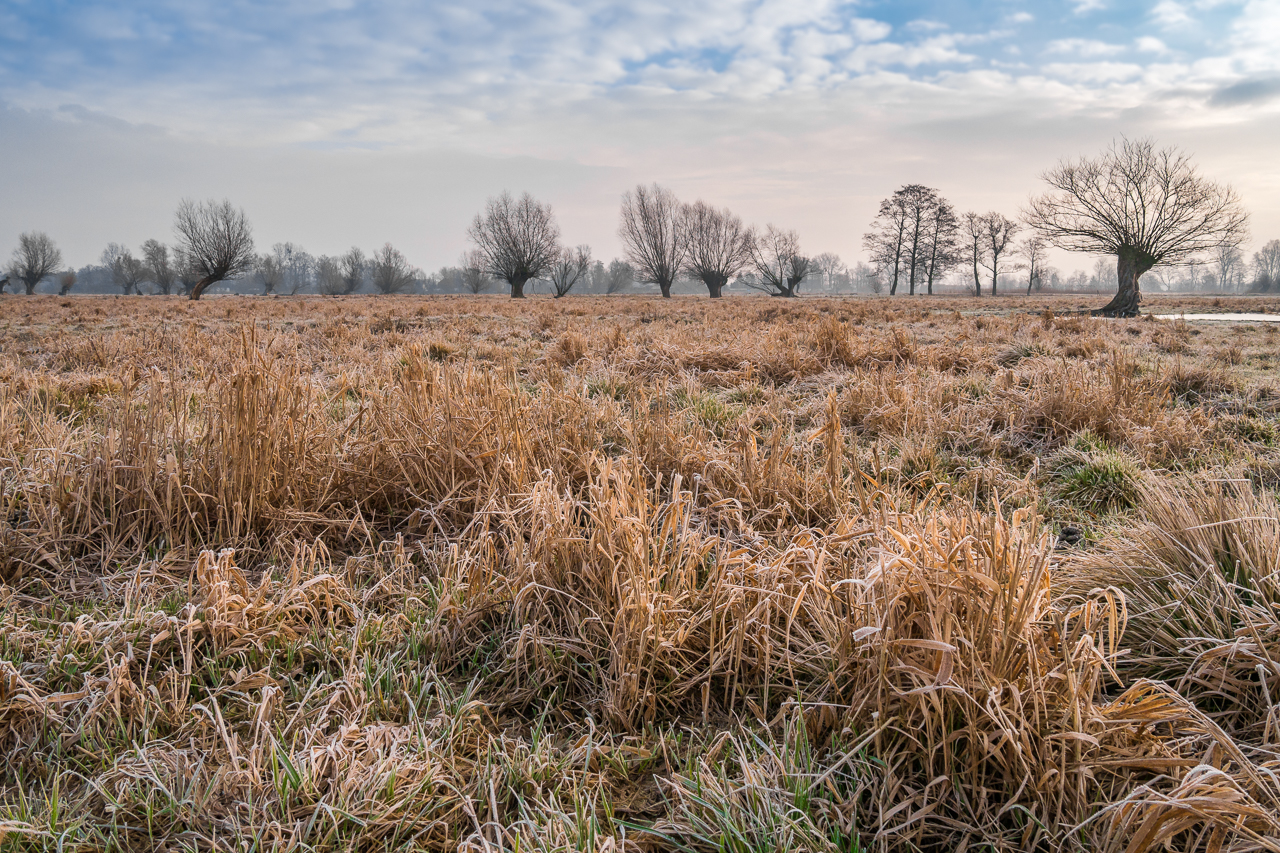 Nazwa:  14.jpg
Wyświetleń: 490
Rozmiar:  1,37 MB