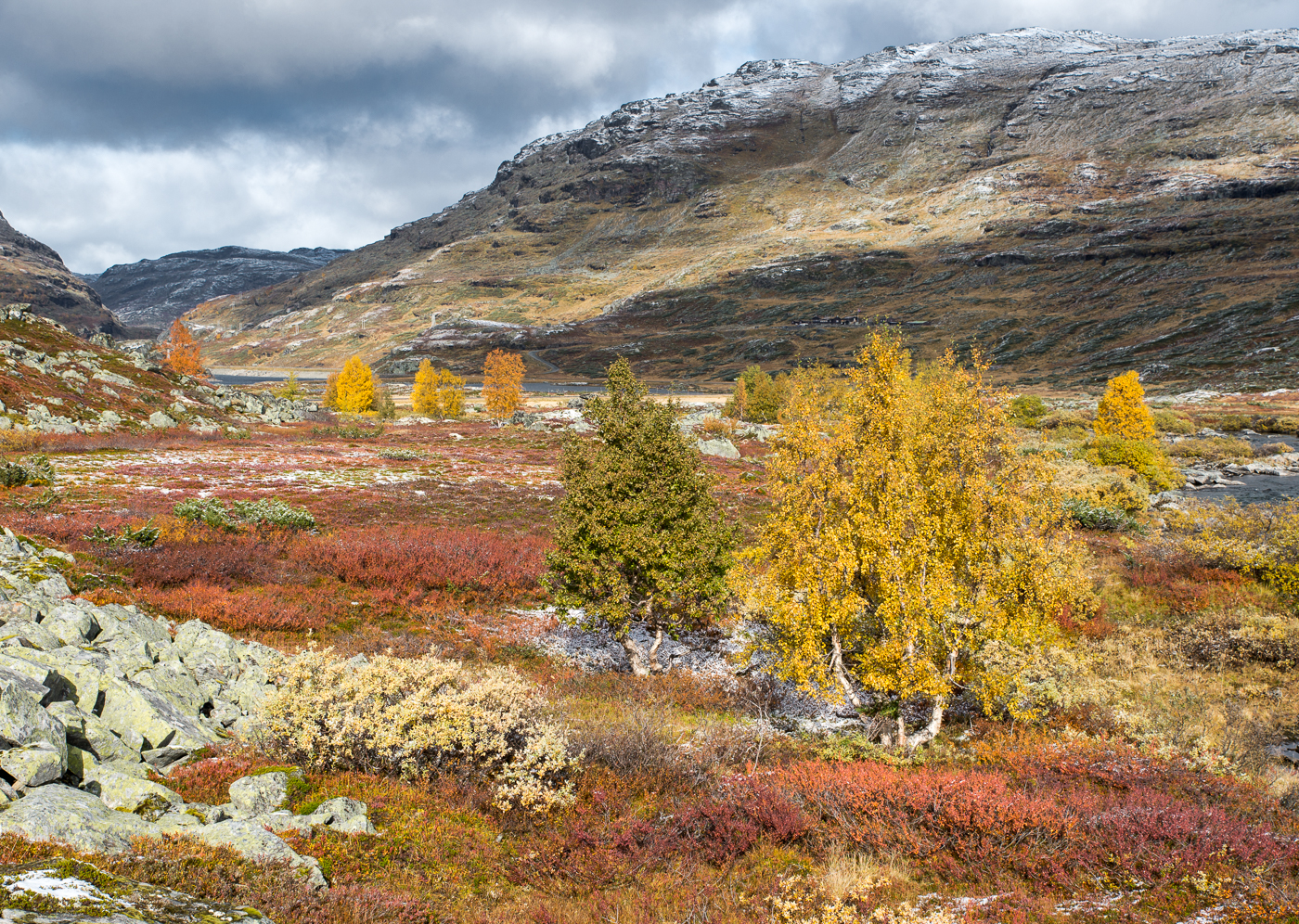 Nazwa:  _NJ62376-8.jpg
Wyświetleń: 174
Rozmiar:  2,17 MB