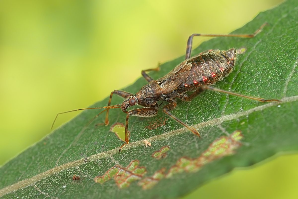 Nazwa:  zazartka25019gf.jpg
Wyświetleń: 250
Rozmiar:  151,1 KB