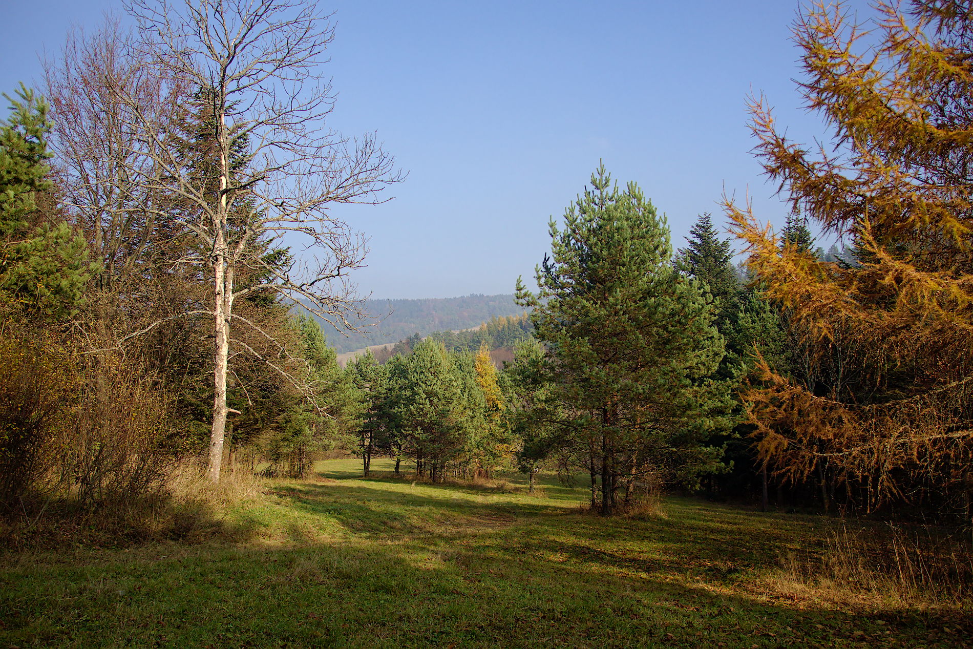 Nazwa:  PA271104.jpg
Wyświetleń: 206
Rozmiar:  832,6 KB
