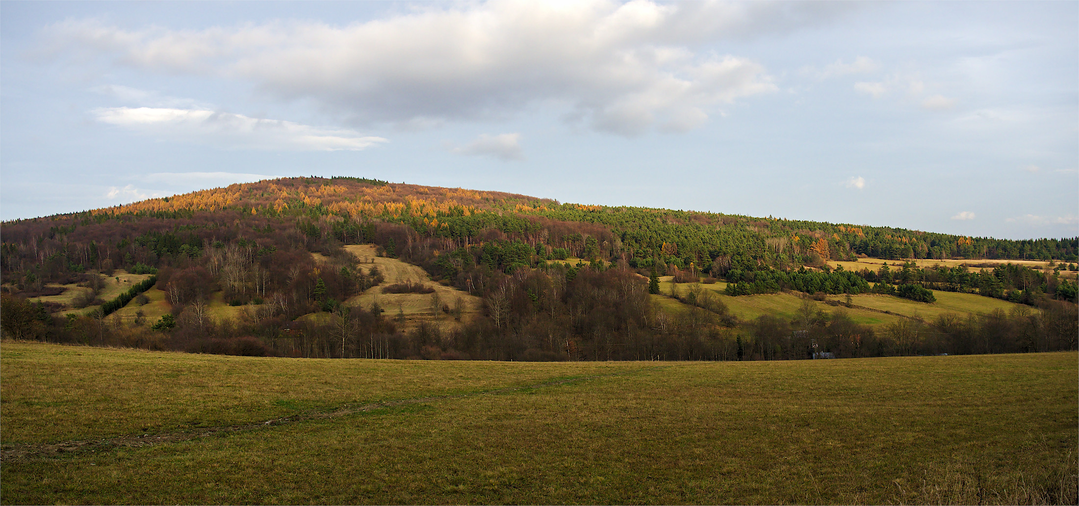 Nazwa:  wolowiec.jpg
Wyświetleń: 156
Rozmiar:  811,7 KB