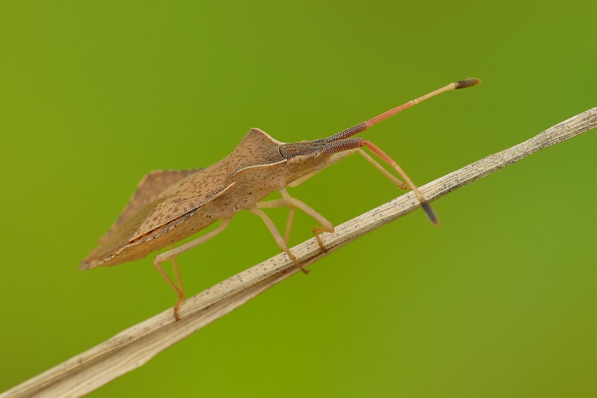 Nazwa:  wtyk123856cf.jpg
Wyświetleń: 272
Rozmiar:  60,8 KB