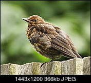 Kliknij obrazek, aby uzyskać większą wersję

Nazwa:	Pt 33_96.jpg
Wyświetleń:	289
Rozmiar:	366,0 KB
ID:	216953