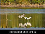 Kliknij obrazek, aby uzyskać większą wersję

Nazwa:	DSCF3282_1334r.jpg
Wyświetleń:	145
Rozmiar:	397,9 KB
ID:	216991