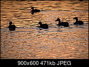 Kliknij obrazek, aby uzyskać większą wersję

Nazwa:	DSCF3219301r.jpg
Wyświetleń:	128
Rozmiar:	471,3 KB
ID:	216993