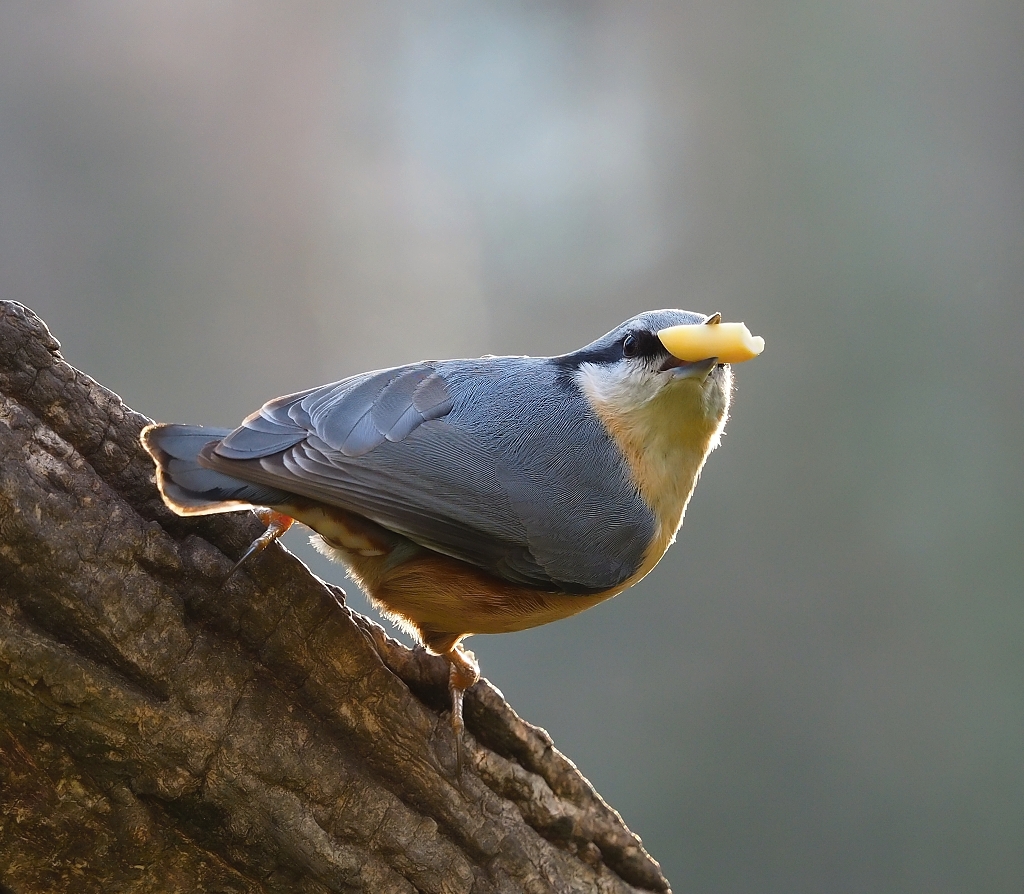 Nazwa:  PC052215c.jpg
Wyświetleń: 230
Rozmiar:  569,5 KB