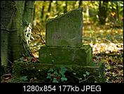 Kliknij obrazek, aby uzyskać większą wersję

Nazwa:	P2690305.jpg
Wyświetleń:	90
Rozmiar:	177,0 KB
ID:	217267
