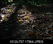 Kliknij obrazek, aby uzyskać większą wersję

Nazwa:	P9220019.jpg
Wyświetleń:	124
Rozmiar:	179,4 KB
ID:	217891