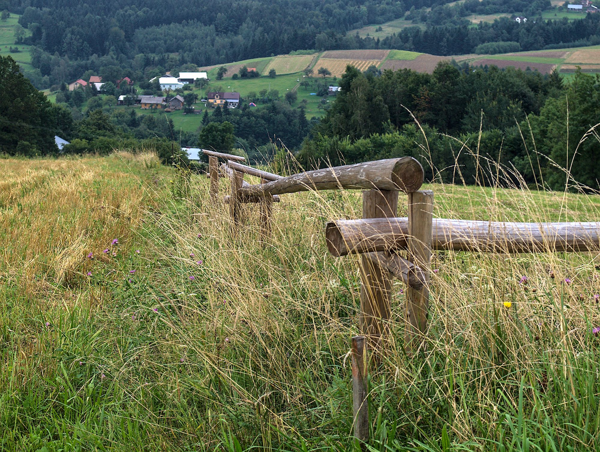 Nazwa:  P8125664.jpg
Wyświetleń: 194
Rozmiar:  988,1 KB