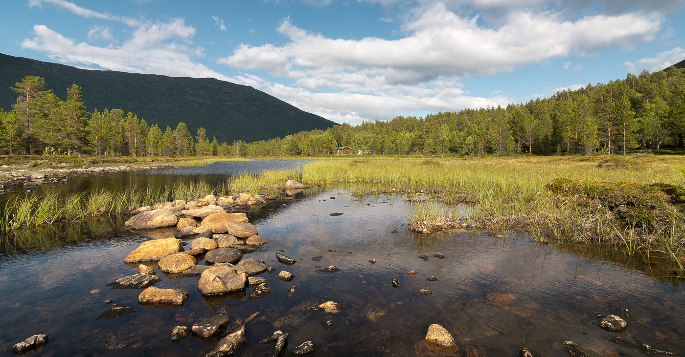 Nazwa:  _NOR8705-3.jpg
Wyświetleń: 295
Rozmiar:  1,12 MB