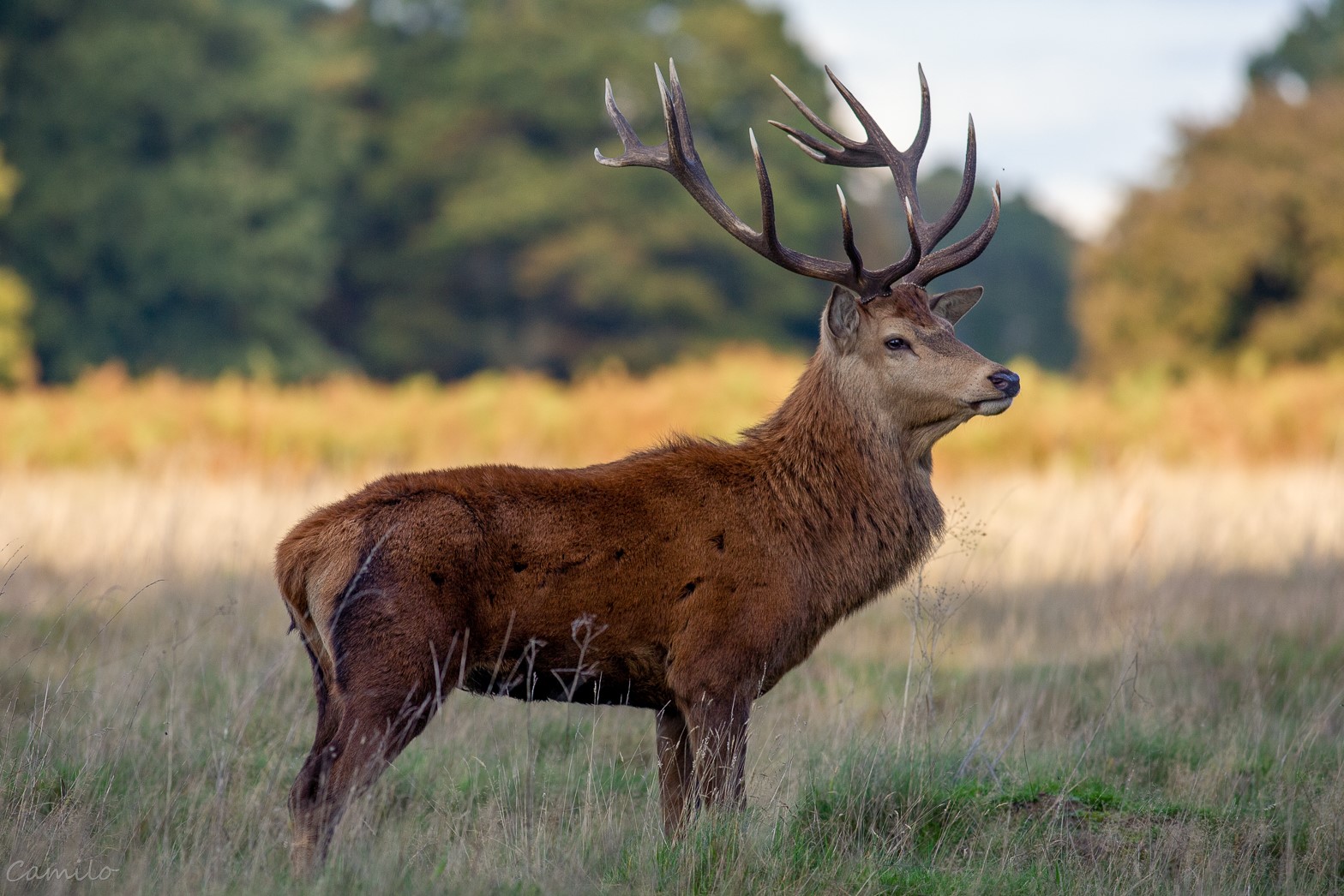 Nazwa:  IMG_4223-3.jpg
Wyświetleń: 322
Rozmiar:  384,3 KB