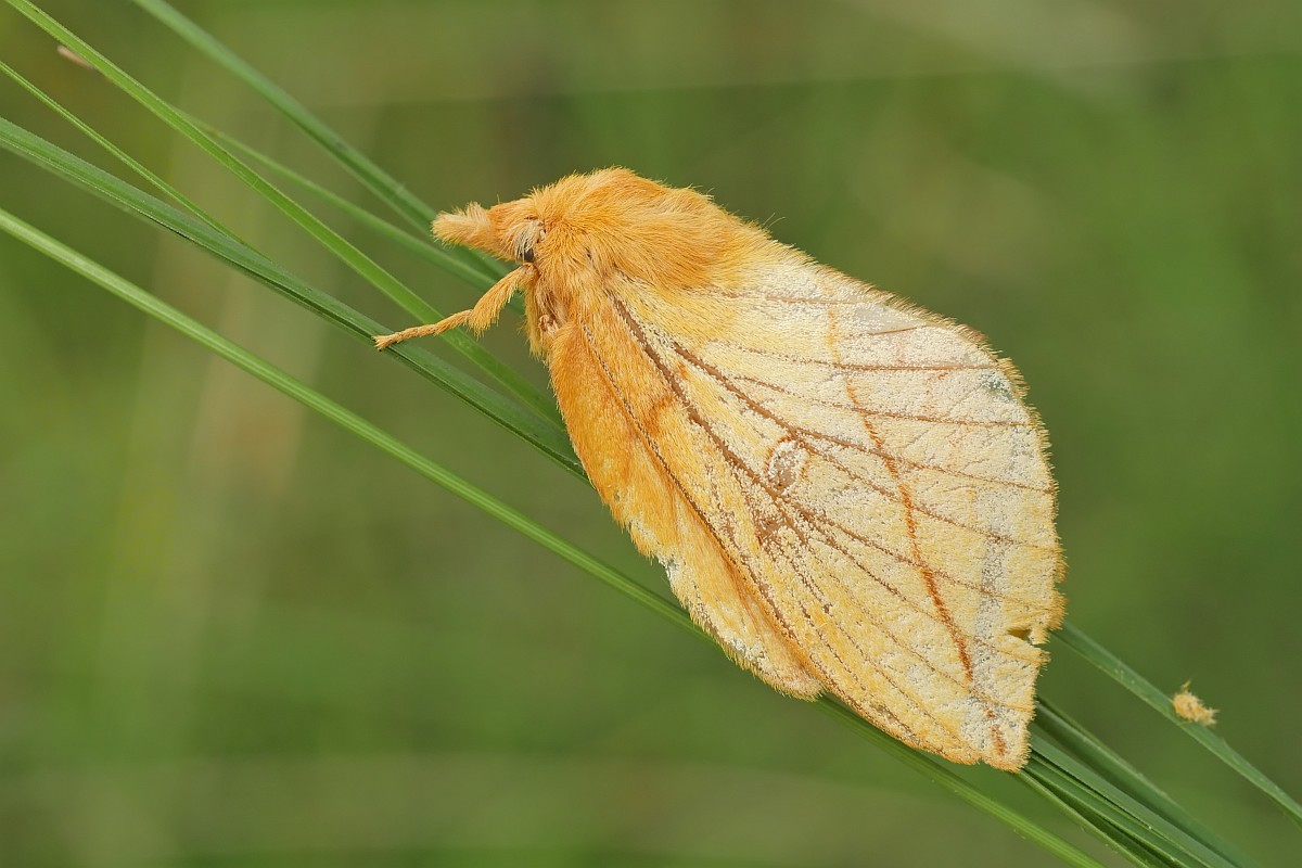 Nazwa:  cma39298gf.jpg
Wyświetleń: 277
Rozmiar:  155,9 KB