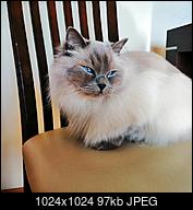 Kliknij obrazek, aby uzyskać większą wersję

Nazwa:	IMG_20200321_143039-01.jpg
Wyświetleń:	57
Rozmiar:	96,6 KB
ID:	220508