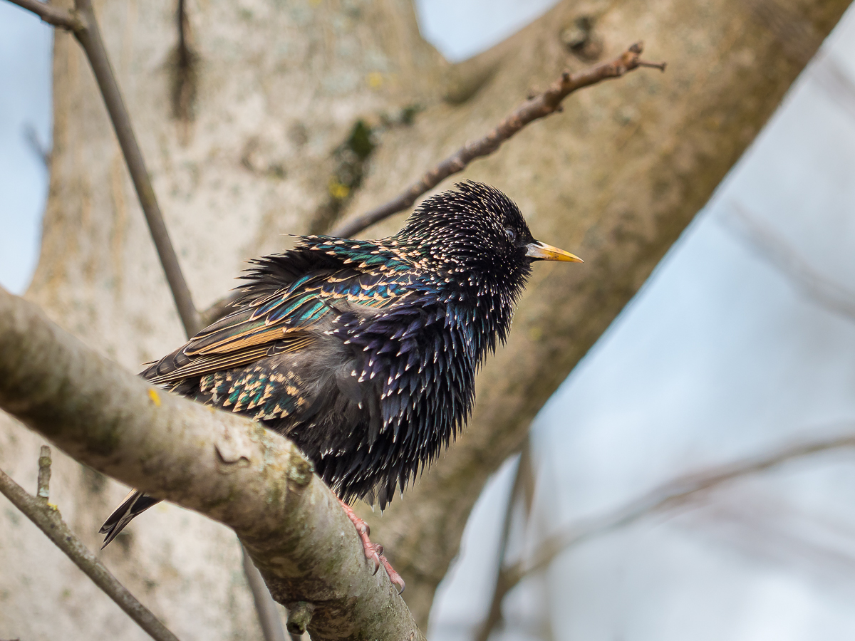 Nazwa:  P4020025.jpg
Wyświetleń: 265
Rozmiar:  722,3 KB